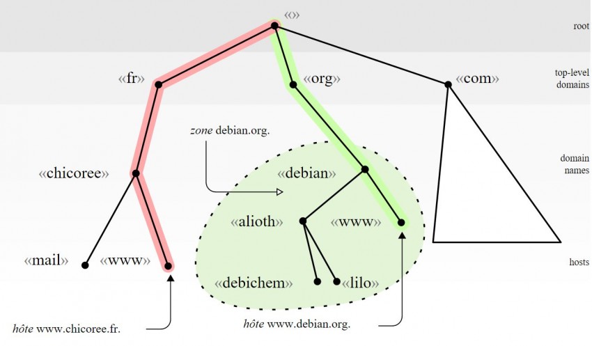 DNS Tree